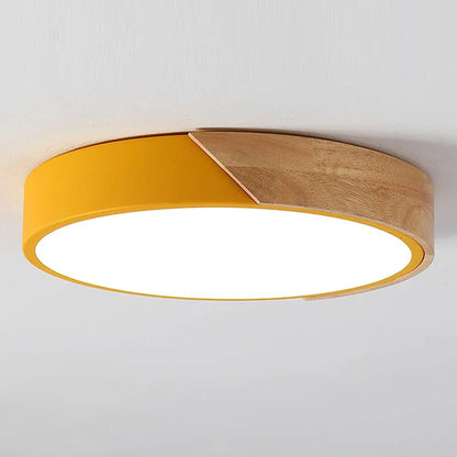Flush Mount Light Fixture Modern Ceiling Lamp