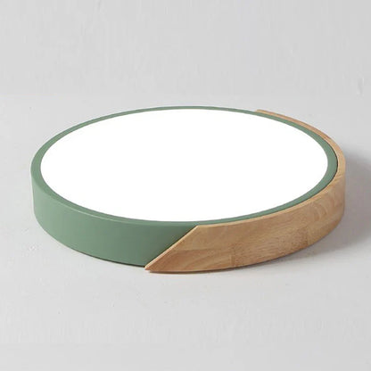 Flush Mount Light Fixture Modern Ceiling Lamp