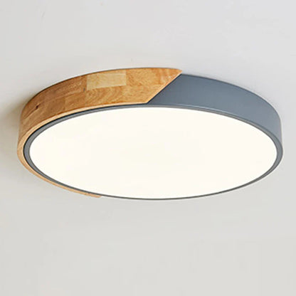 Flush Mount Light Fixture Modern Ceiling Lamp