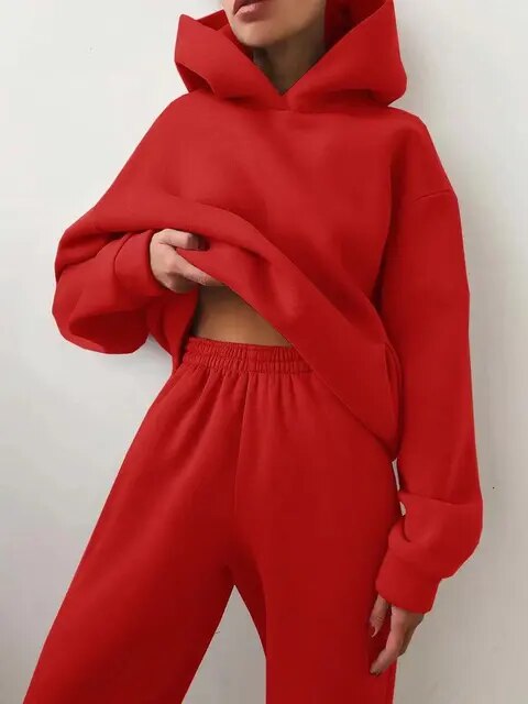 Women's Hoodie Loungewear Set Fleece Winter