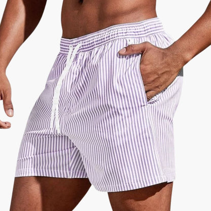 Men's Board Shorts Elastic Waist Striped