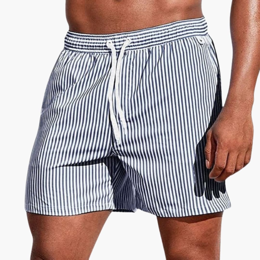 Men's Board Shorts Elastic Waist Striped