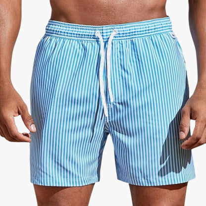 Men's Board Shorts Elastic Waist Striped