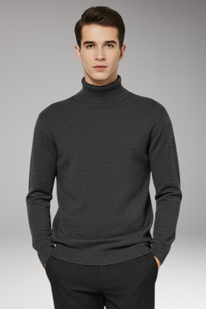 Men's Turtleneck Sweater Ribbed Plain