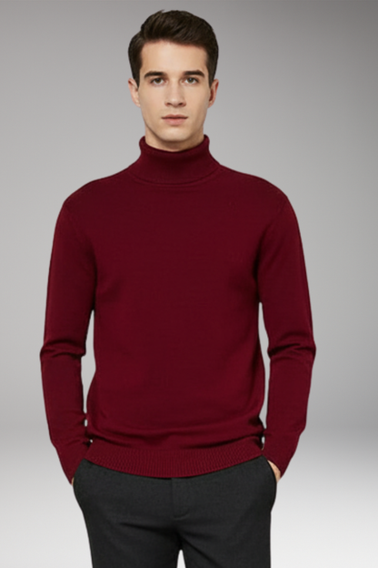 Men's Turtleneck Sweater Ribbed Plain