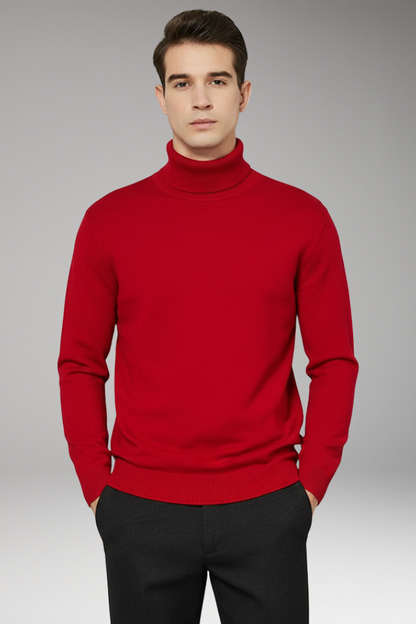 Men's Turtleneck Sweater Ribbed Plain