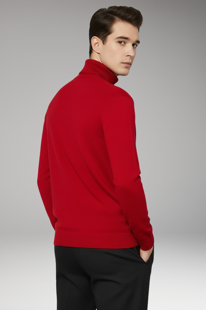 Men's Turtleneck Sweater Ribbed Plain