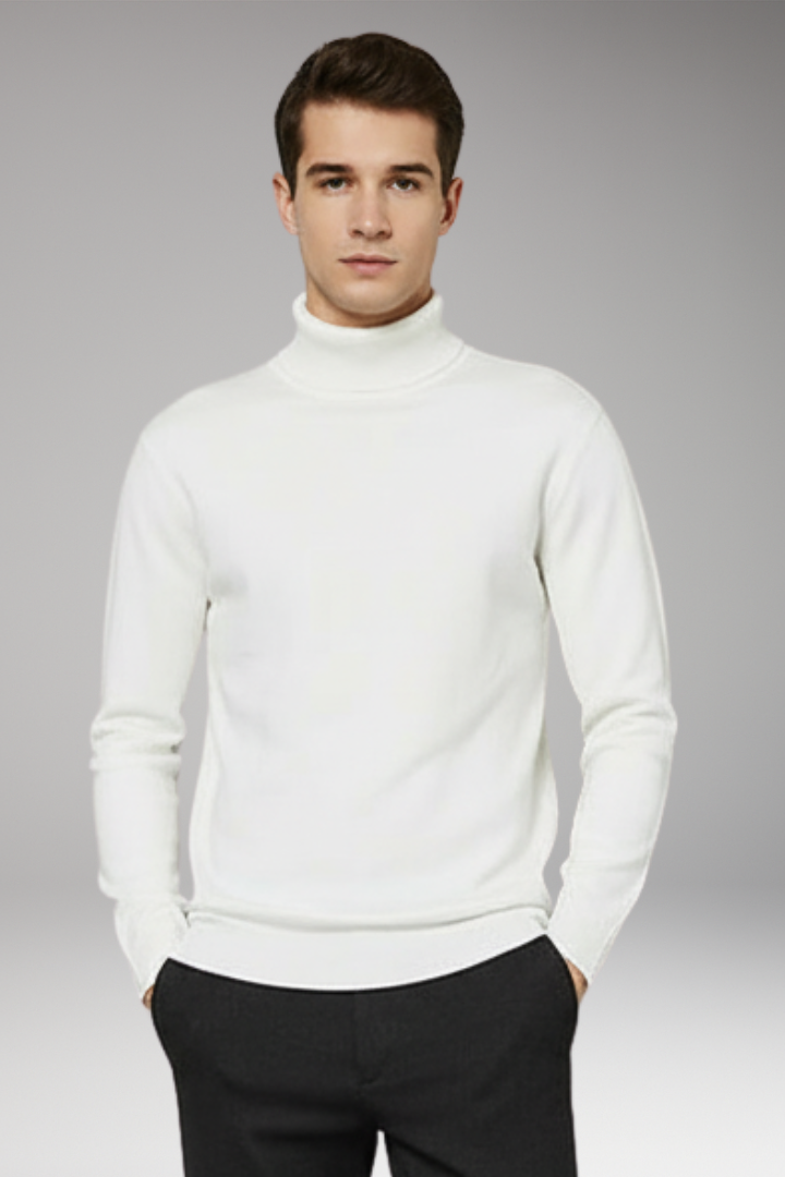 Men's Turtleneck Sweater Ribbed Plain
