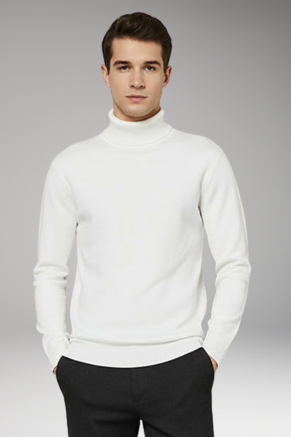 Men's Turtleneck Sweater Ribbed Plain