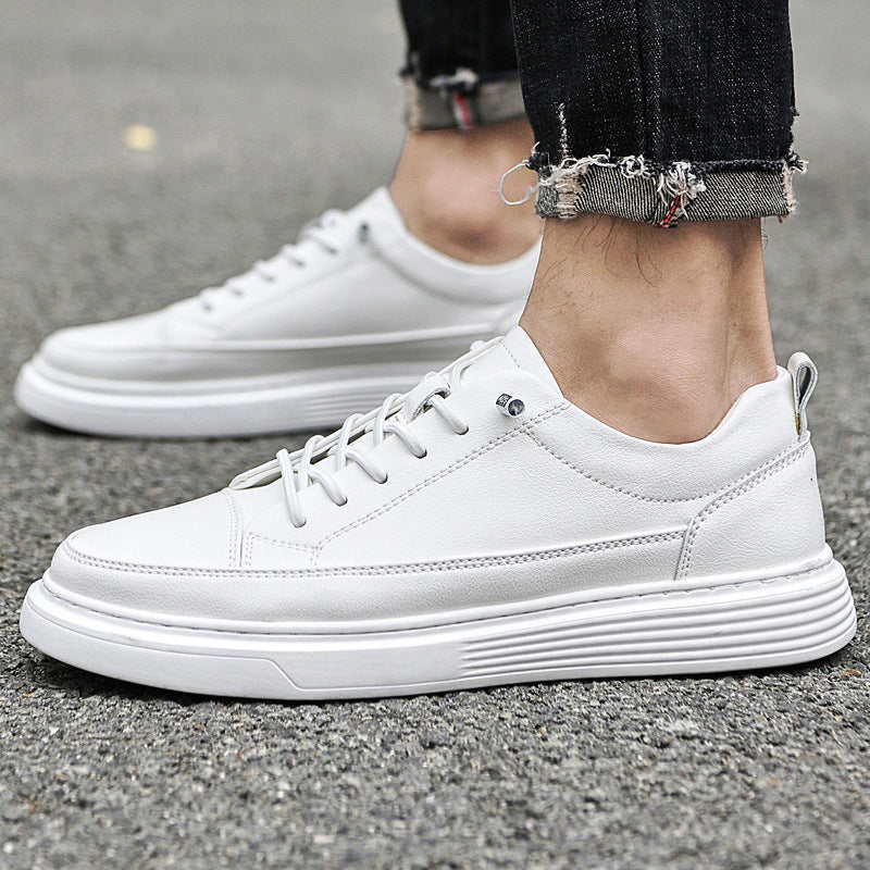 Men's Low- Sneakers Lace-Up Closure