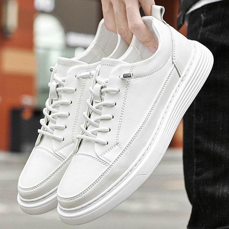 Men's Low- Sneakers Lace-Up Closure