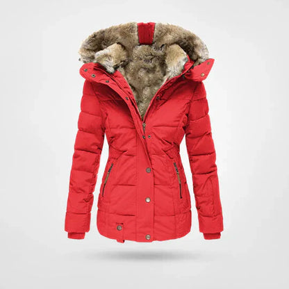 Waterproof Mens Winter Parka Jacket