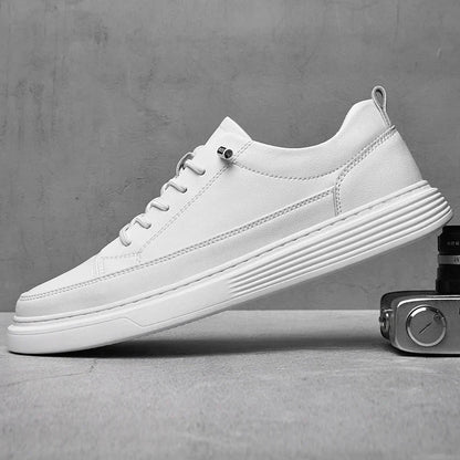 Men's Low- Sneakers Lace-Up Closure