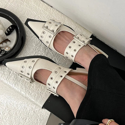 Elegant Low Heel Slingback Shoes