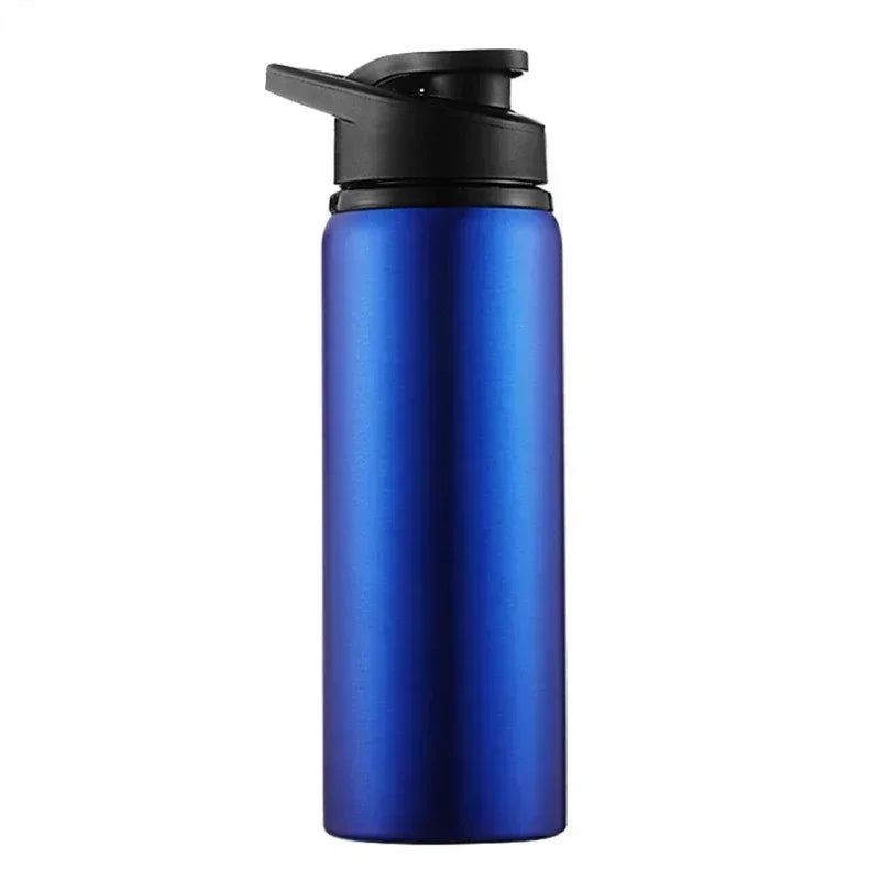 Insulated Stainless Steel Thermos Bottle