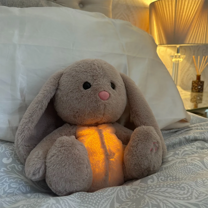 Plush Calming Toy