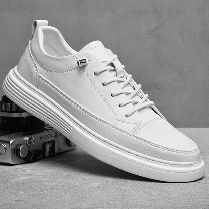 Men's Low- Sneakers Lace-Up Closure