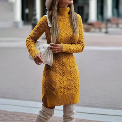 Women's Knit Turtleneck Dress