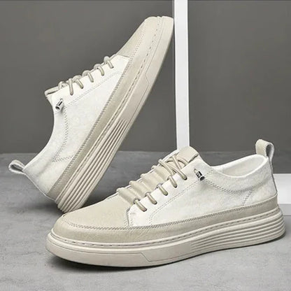 Fashionable Athletic Shoes