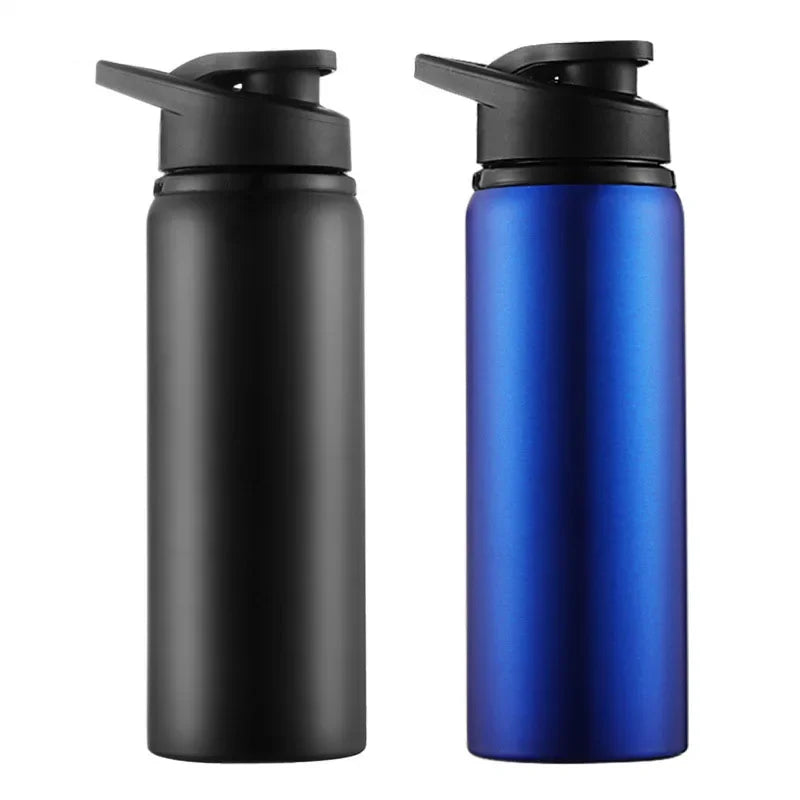 Insulated Stainless Steel Thermos Bottle