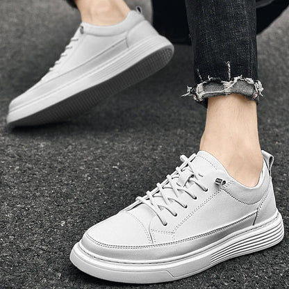 Men's Low- Sneakers Lace-Up Closure