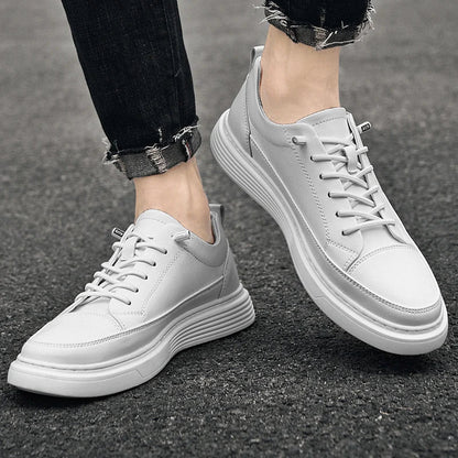Men's Low- Sneakers Lace-Up Closure