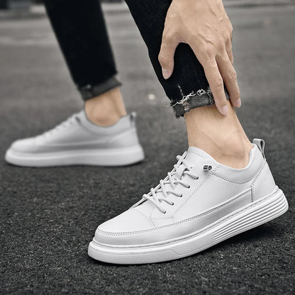 Men's Low- Sneakers Lace-Up Closure