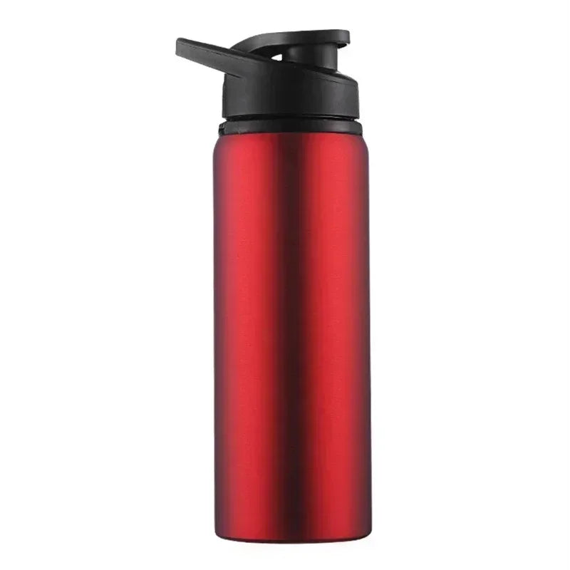 Insulated Stainless Steel Thermos Bottle