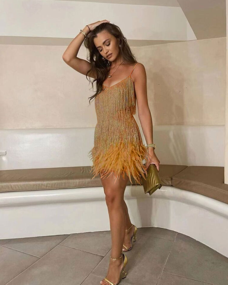 Sparkly Evening Party Dress