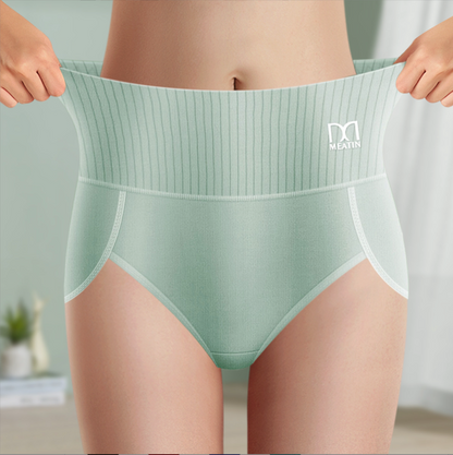 Slimming High Waist Shapewear Briefs 6 Pack