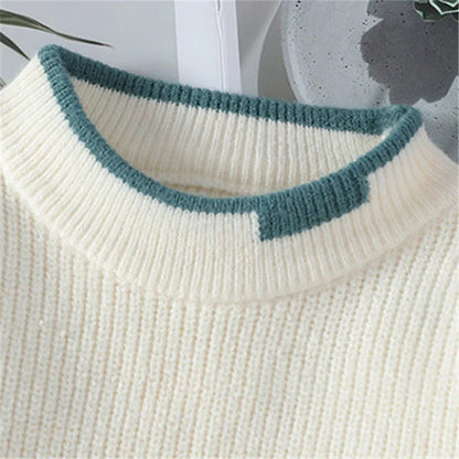 Men's Color Block Crew Neck Sweater