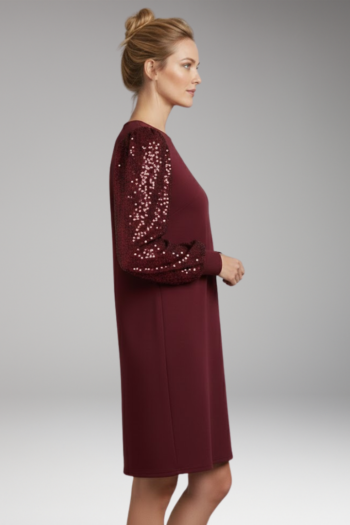 Women's Relaxed Fit Casual Dress Glitter Sleeves
