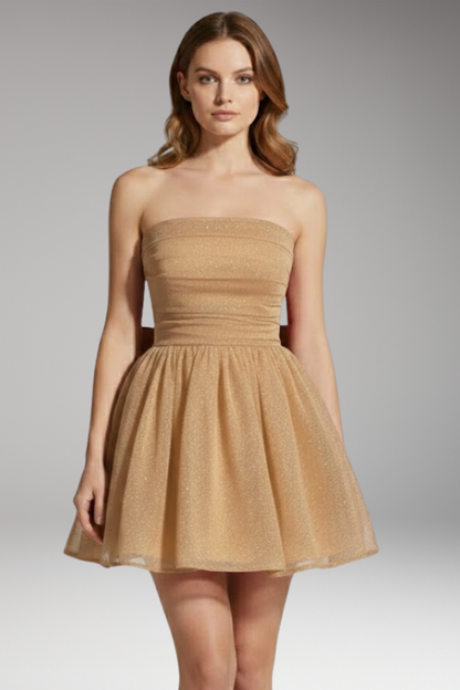 Women's Shimmer Dress With Large Bow