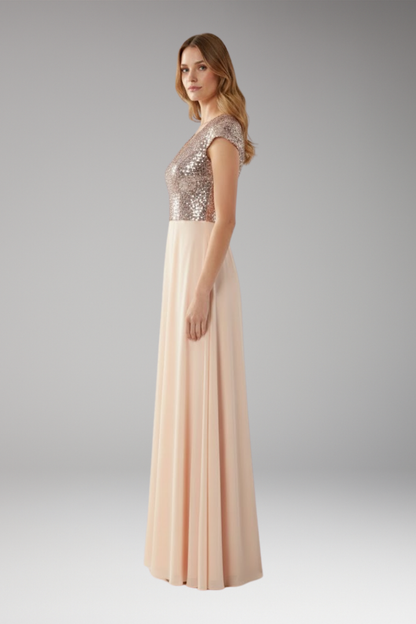 Women's V-Neck Maxi Dress Sequin Chiffon