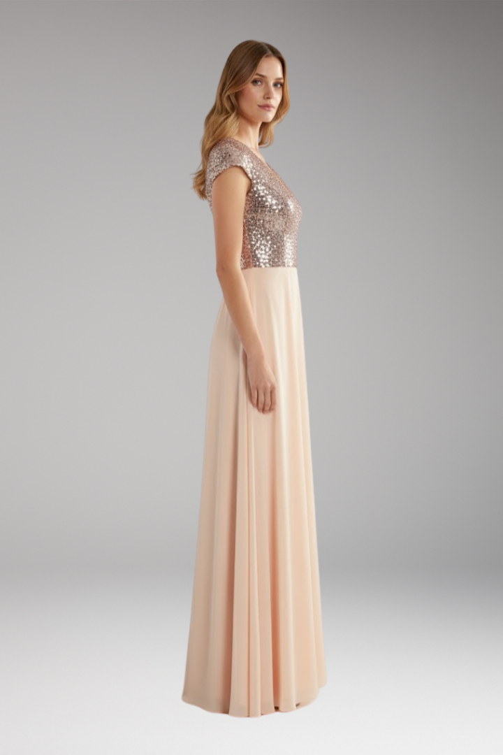 Women's V-Neck Maxi Dress Sequin Chiffon
