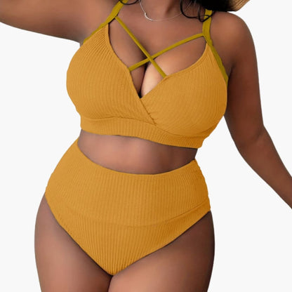 Women's Plus Size High Waisted Bikini Set