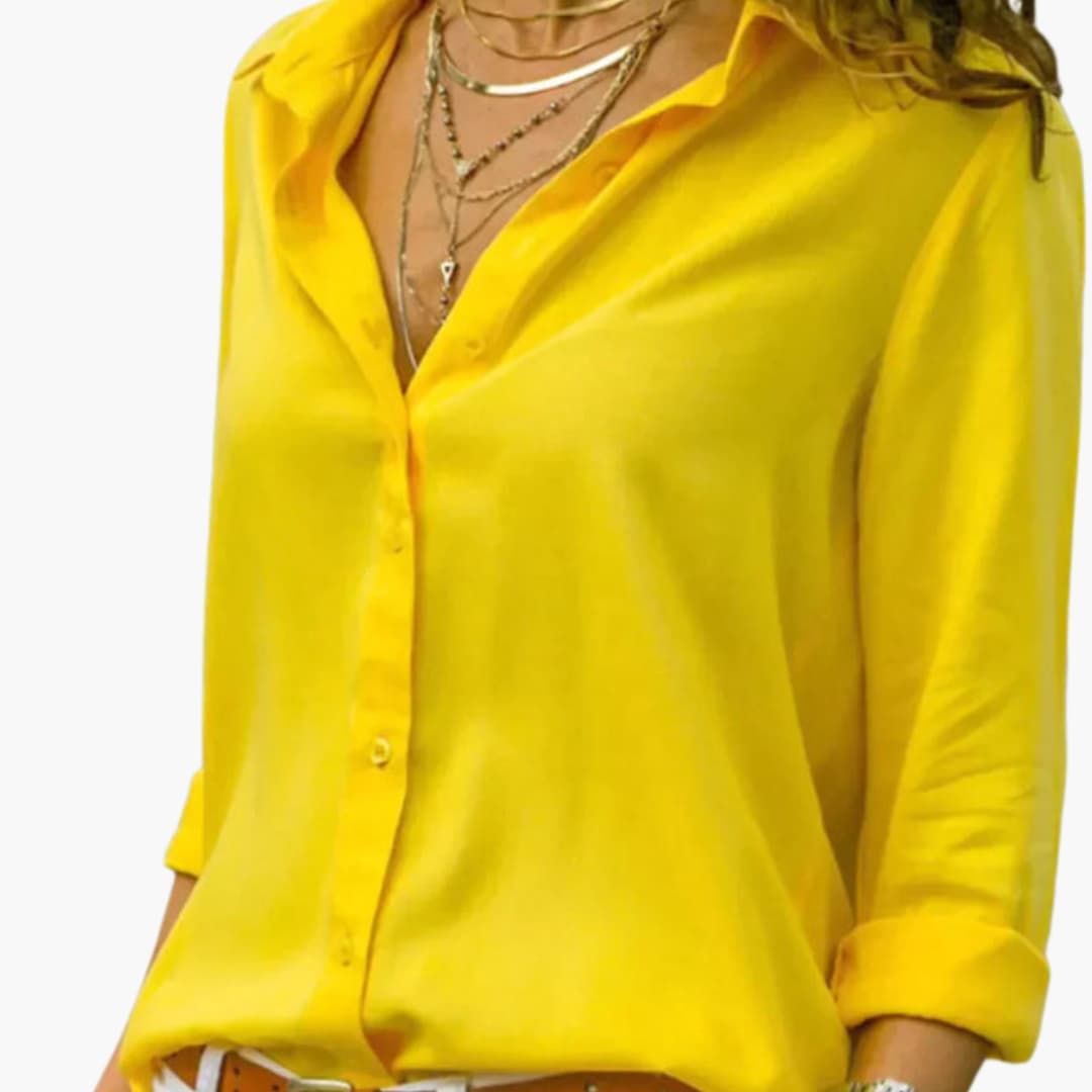 Women's Long Sleeve Satin Blouse V-Neck