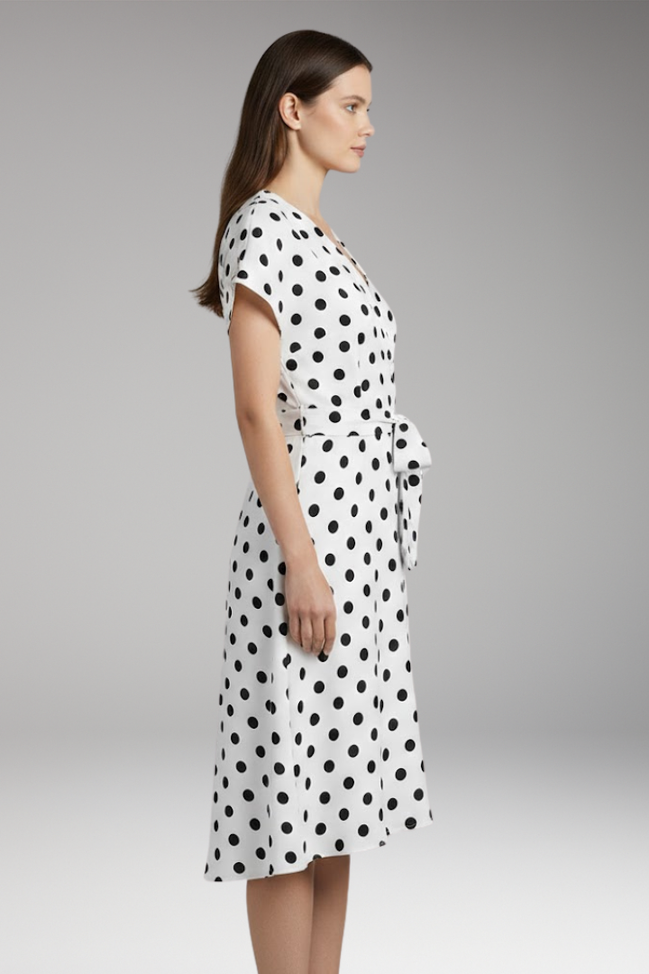 Women's V-Neck Short Sleeve Spot Print Dress