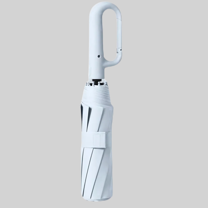 Windproof Auto Lock Umbrella