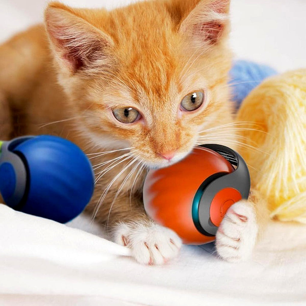Interactive Cat Ball Toy Rolling Play Sphere