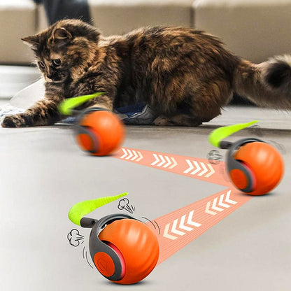 Interactive Cat Ball Toy Rolling Play Sphere