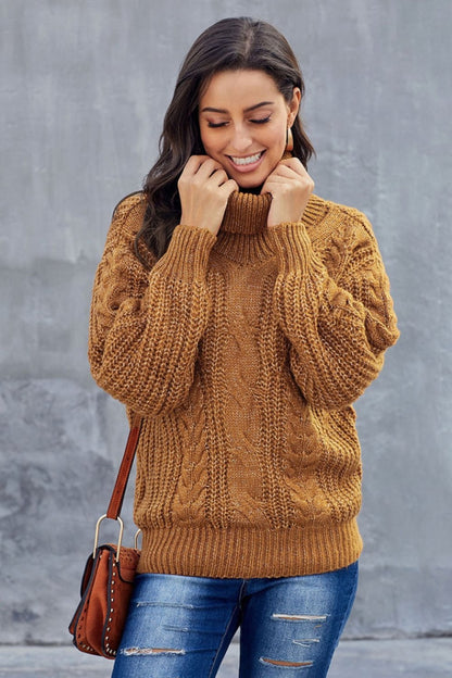 Women's Turtleneck Sweater Chunky Braided Pattern