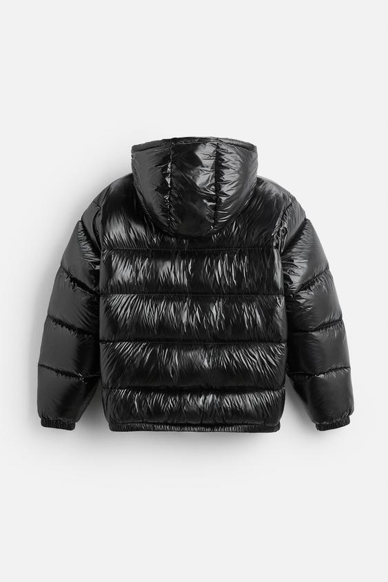 Women's Padded Hooded Jacket Zip Closure