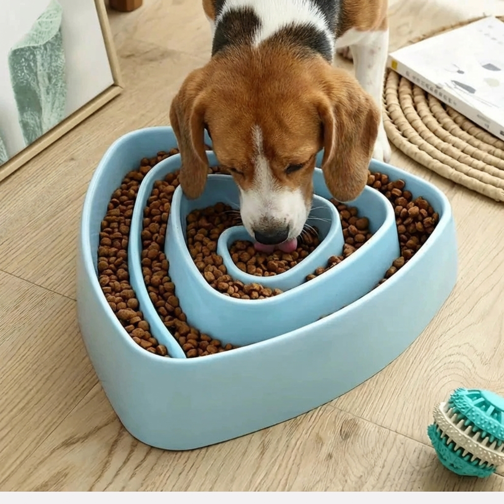 Slow Feeder Dog Bowl