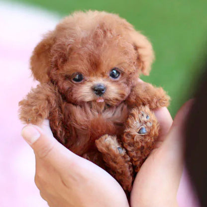 Interactive Puppy Toy Realistic Movement - VibreMode