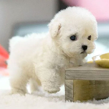 Interactive puppy toy with realistic movement
