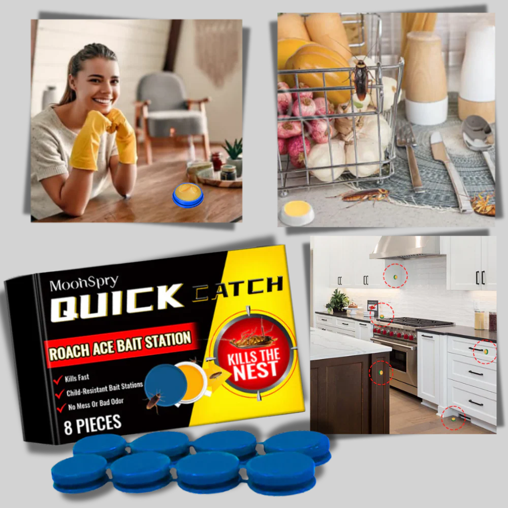 Cockroach Traps Odorless Discreet Pest Control