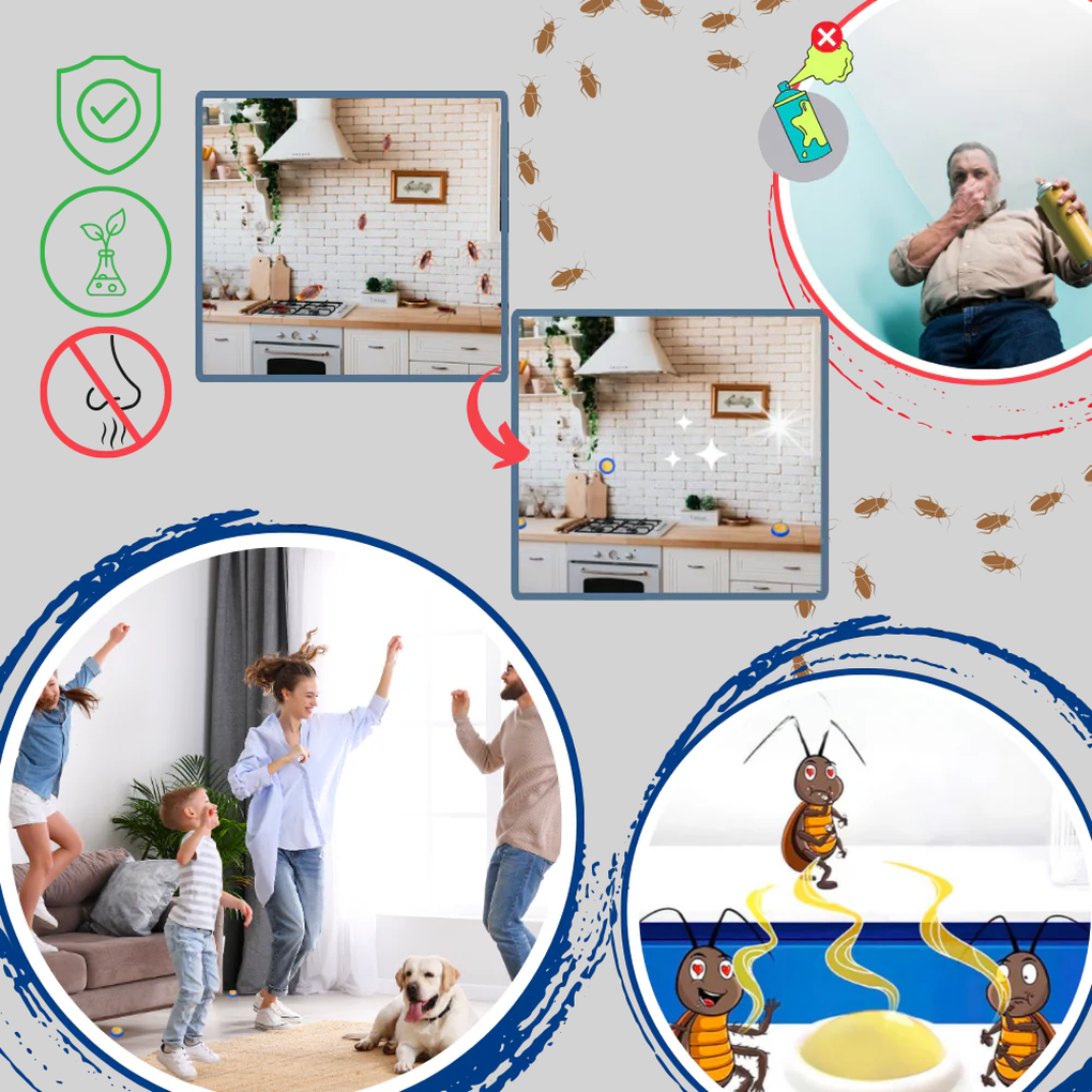 Cockroach Traps Odorless Discreet Pest Control