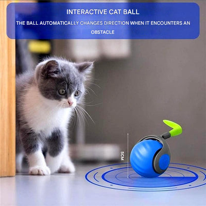Interactive Cat Ball Toy Rolling Play Sphere