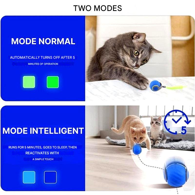 Interactive Cat Ball Toy Rolling Play Sphere